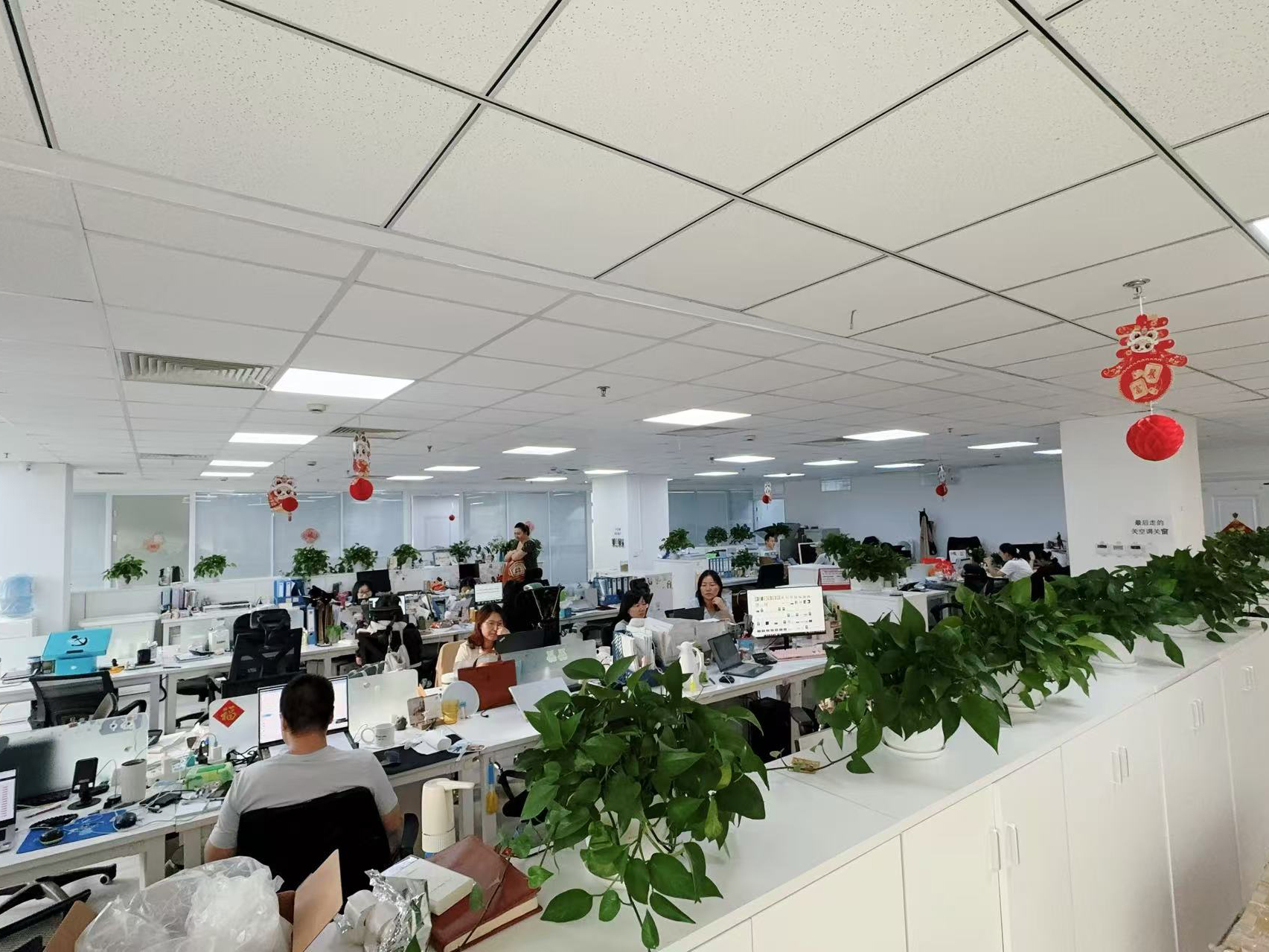 China Hong Kong Starsurge Group Co., Limited company profile